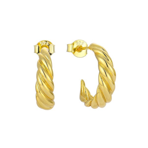 14k gold twisted hoop earrings